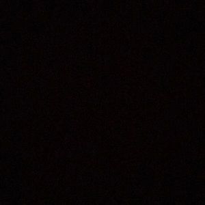 Meet your Posher, Dani